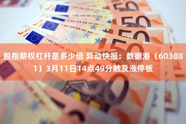 股指期权杠杆是多少倍 异动快报：数据港（603881）3月1