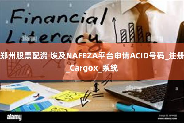 郑州股票配资 埃及NAFEZA平台申请ACID号码_注册_C