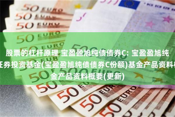 股票的杠杆原理 宝盈盈旭纯债债券C: 宝盈盈旭纯债债券型证券投资基金(宝盈盈旭纯债债券C份额)基金产品资料概要(更新)