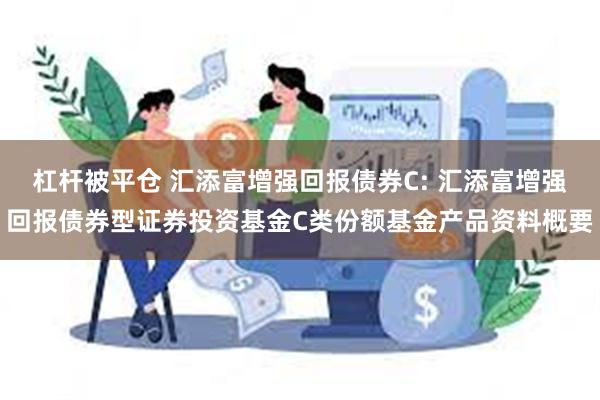 杠杆被平仓 汇添富增强回报债券C: 汇添富增强回报债券型证券