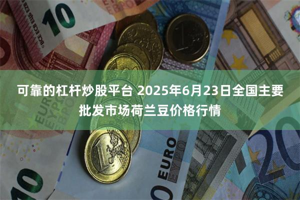 可靠的杠杆炒股平台 2025年6月23日全国主要批发市场荷兰