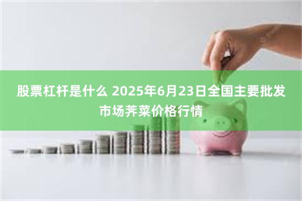 股票杠杆是什么 2025年6月23日全国主要批发市场荠菜价格