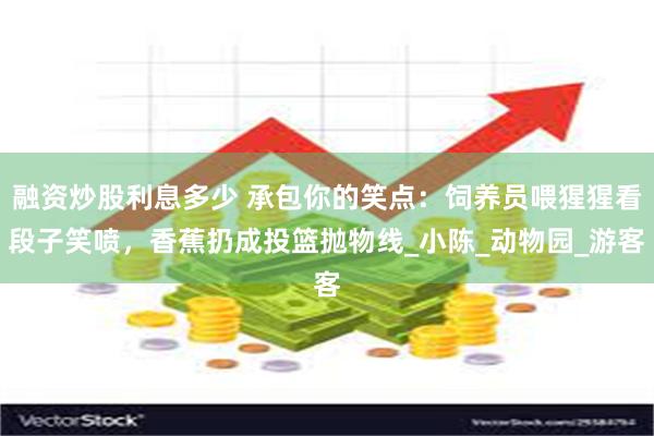 融资炒股利息多少 承包你的笑点：饲养员喂猩猩看段子笑喷，香蕉
