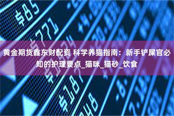黄金期货鑫东财配资 科学养猫指南：新手铲屎官必知的护理要点_