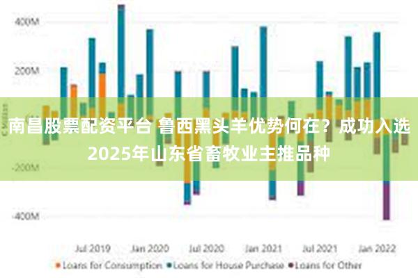 南昌股票配资平台 鲁西黑头羊优势何在？成功入选2025年山东