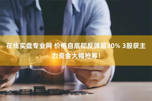 在线实盘专业网 价格自底部反弹超30% 3股获主力资金大幅抢