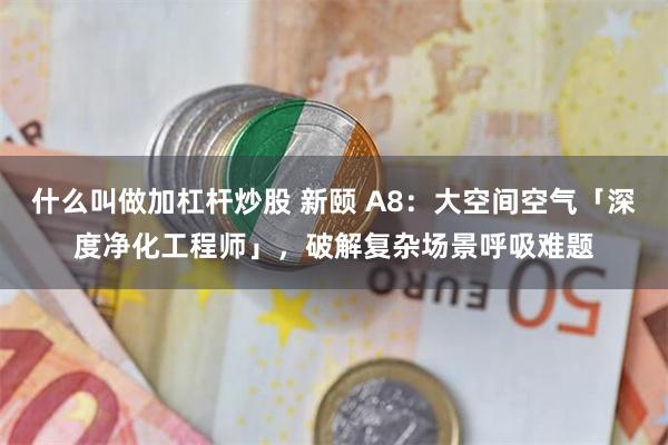 什么叫做加杠杆炒股 新颐 A8：大空间空气「深度净化工程师」